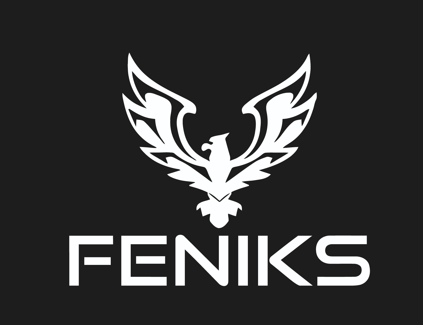 FENIKS nowym sponsorem ORŁA!