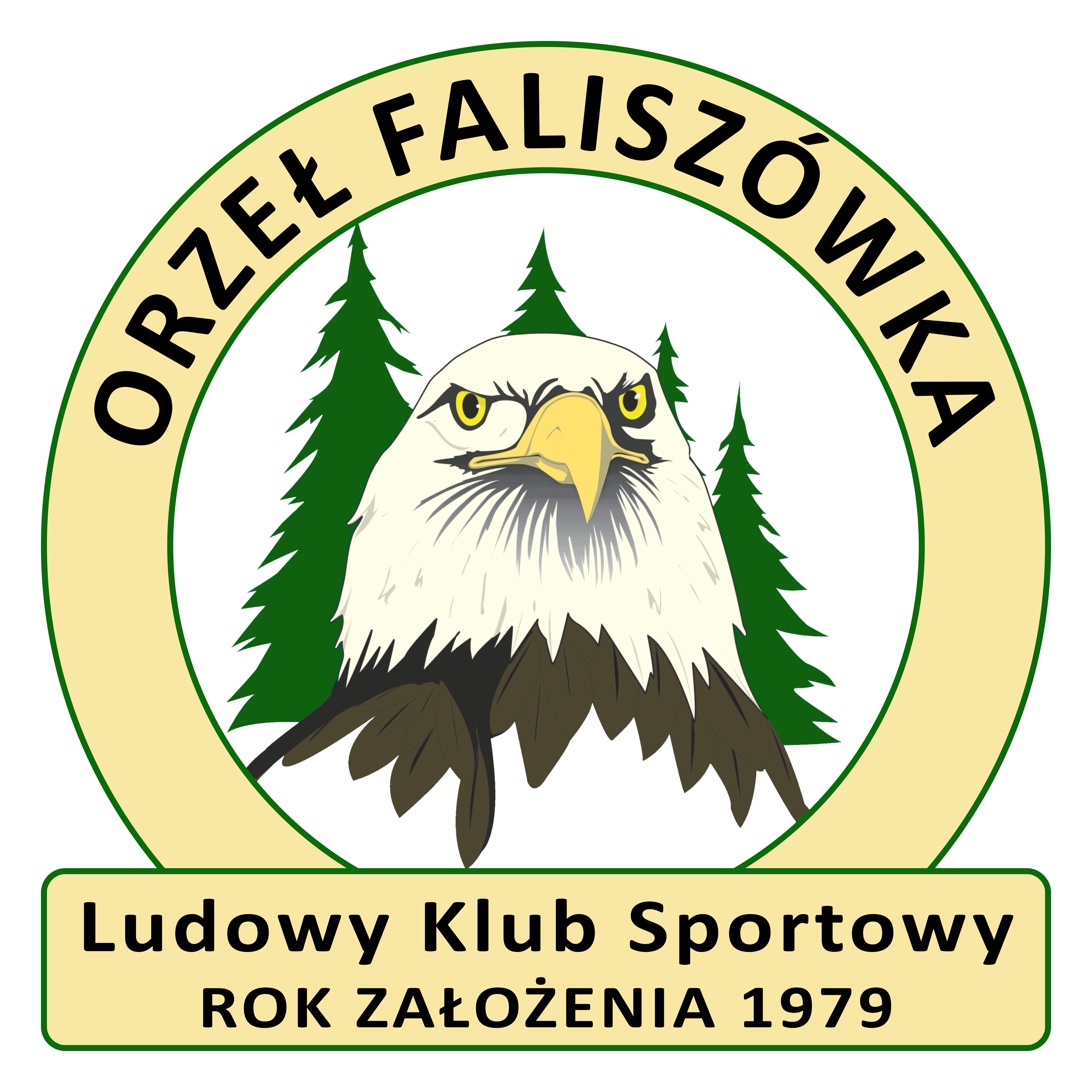 Orzeł Faliszówka