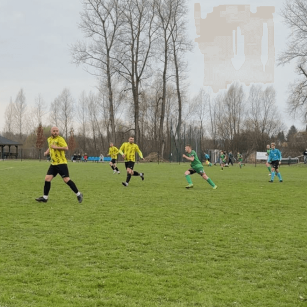 Podział punktów w Sobniowie.