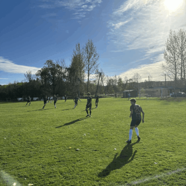 Przegrana z Czarnymi